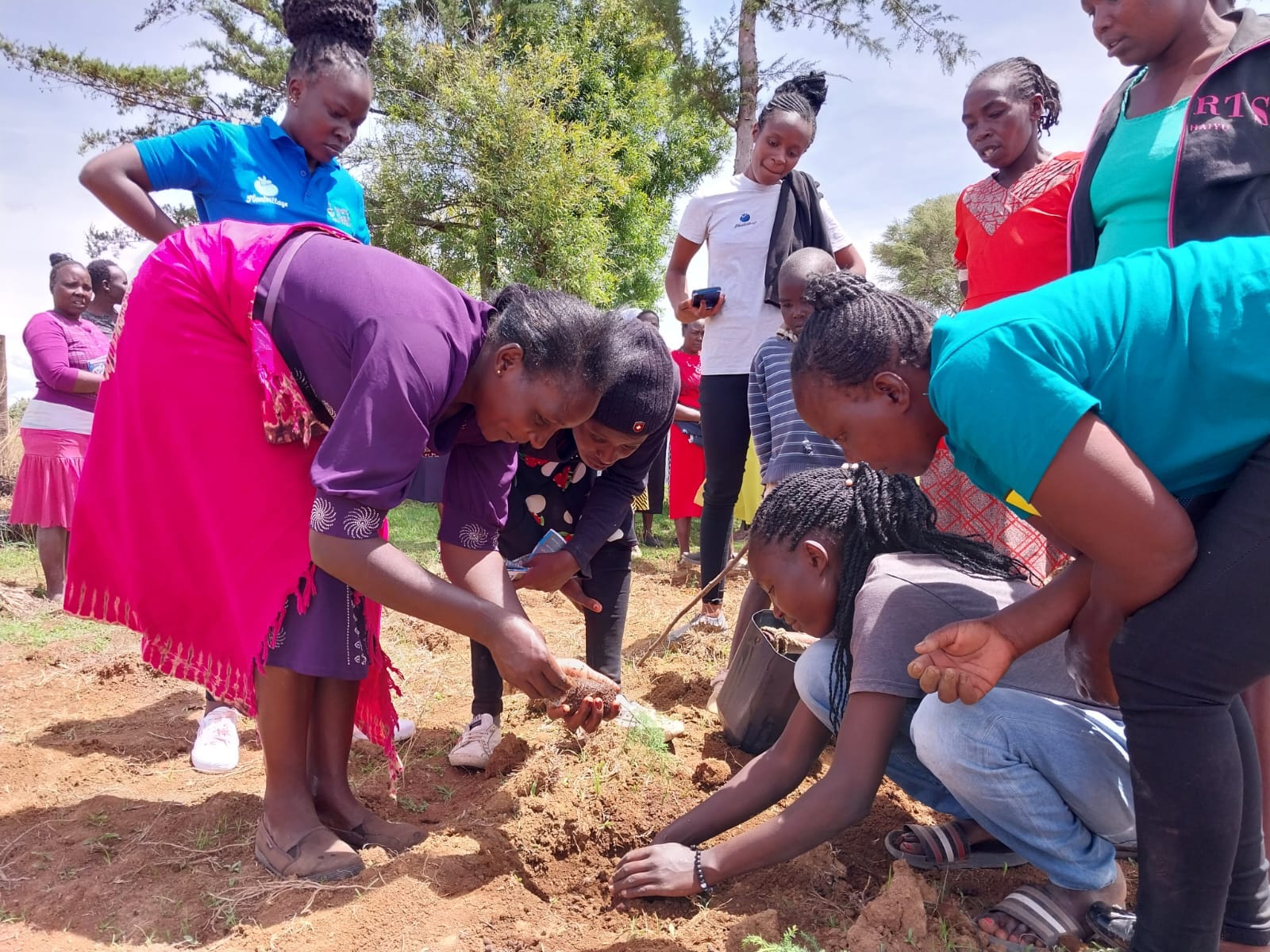 Celebrating nature-based solutions this Environment Setting Day