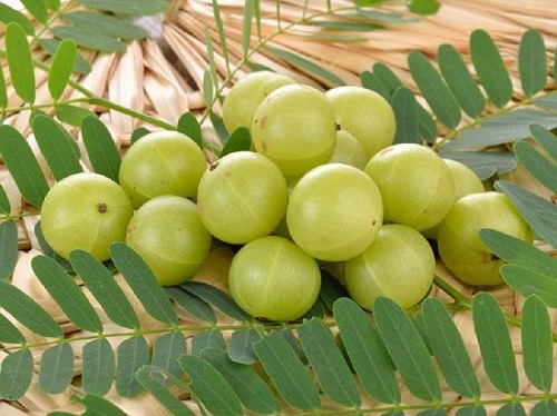 Amla: Benefits, Uses For Hair and Health Conditions, Supplements