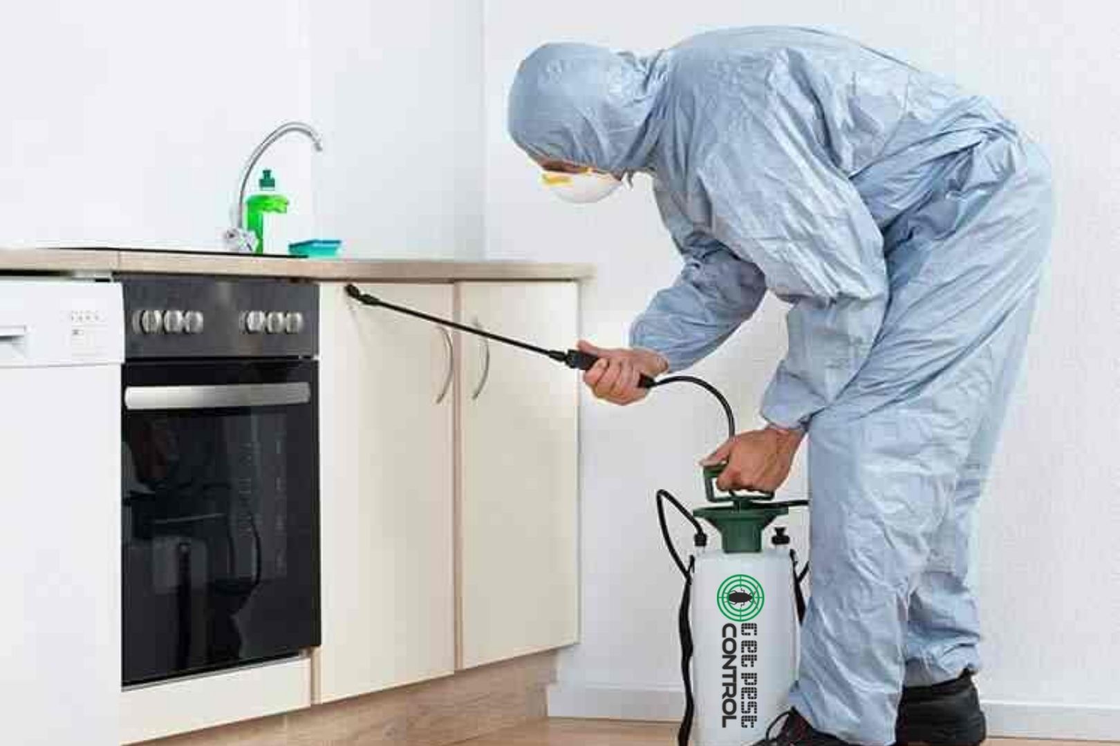 How to Keep Your Kitchen Pest Free. A Comprehensive Guide