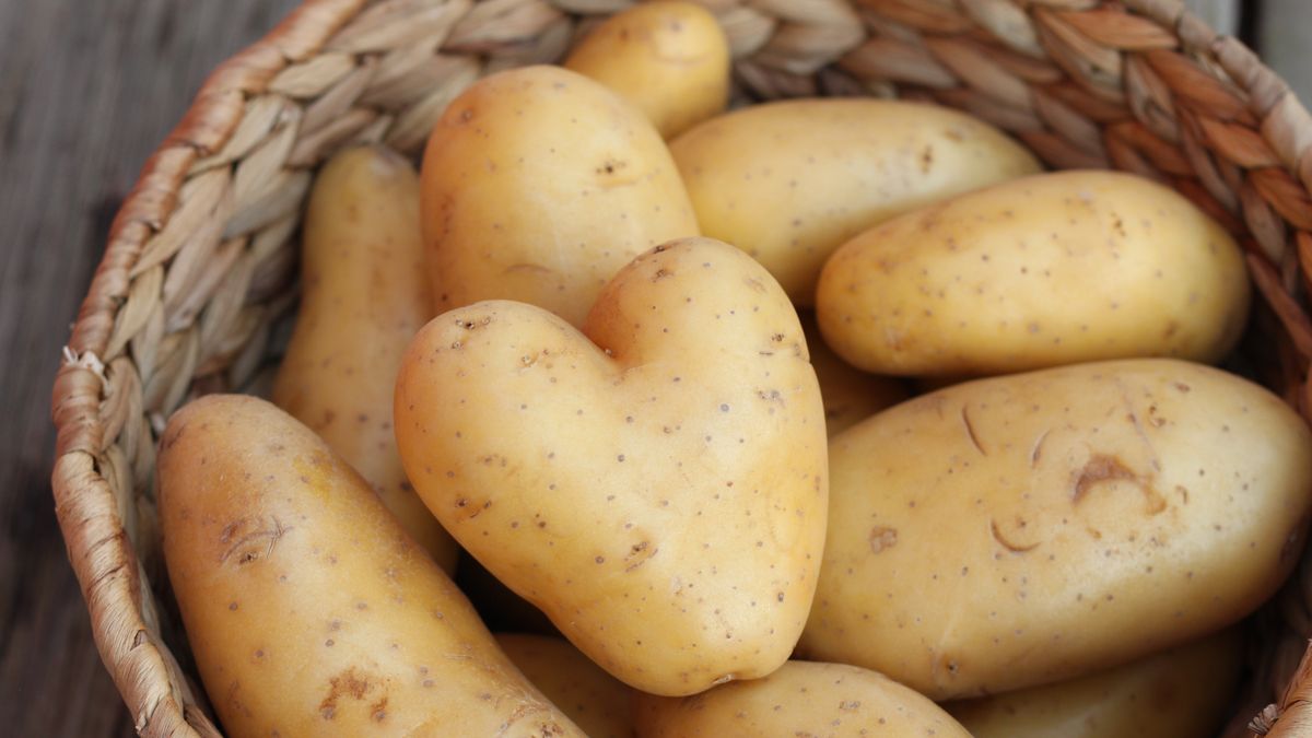 Why Potatoes Are Actually Good for You