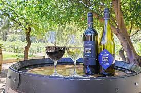 Kilikanoon Wine: Where Passion Meets Perfection For The Growth