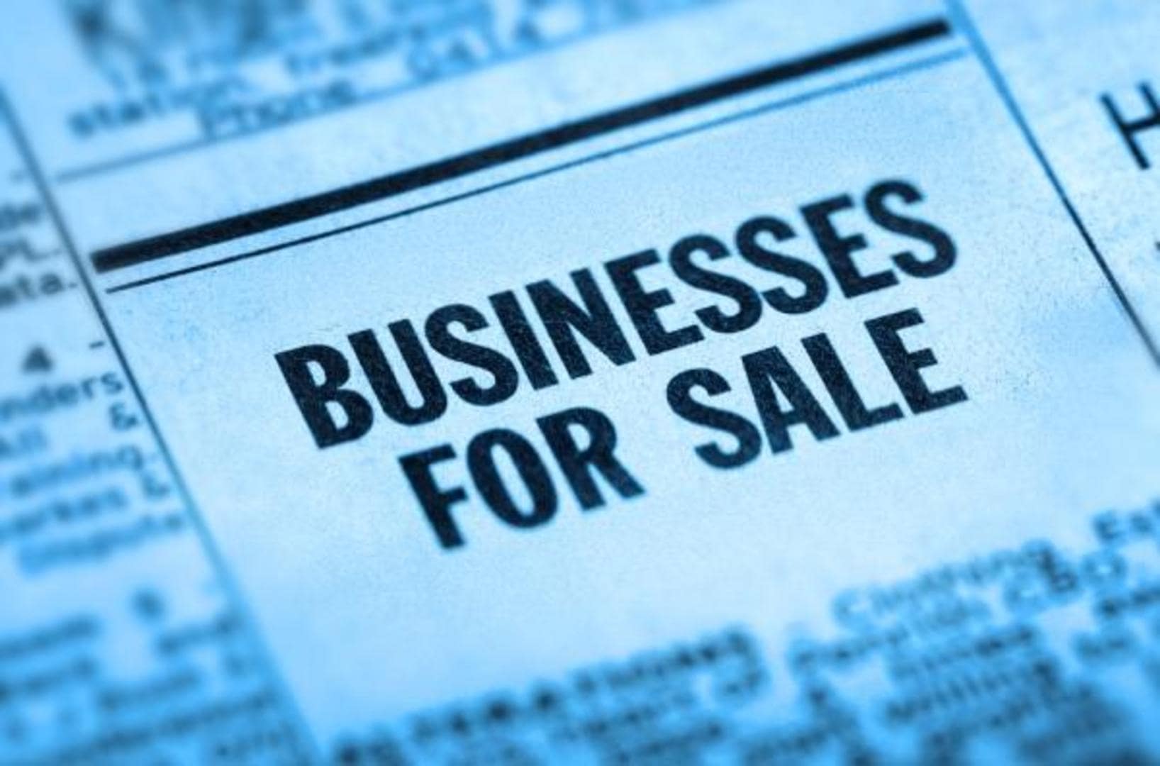 Diverse Portfolio: Varied Businesses for Sale to Suit Every Entrepreneur Introduction